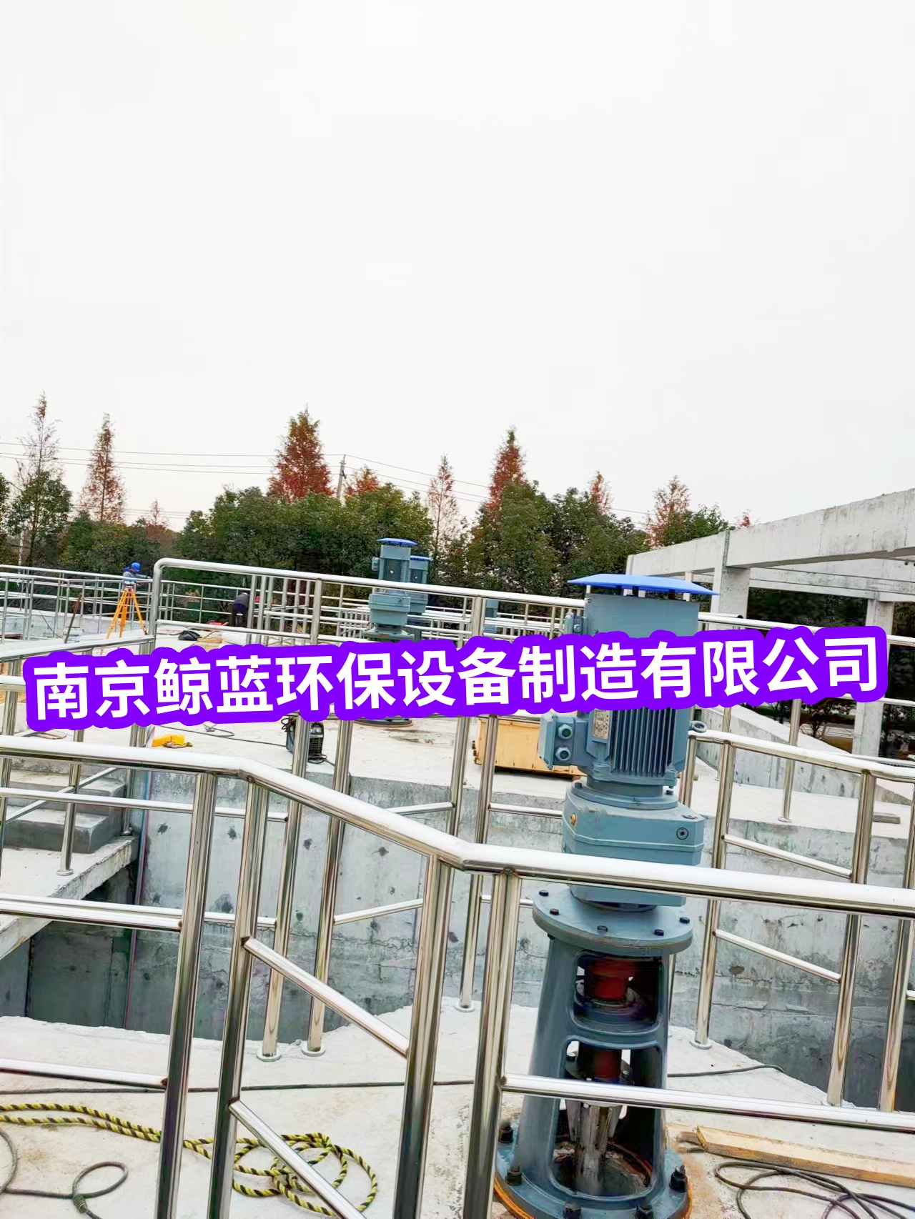 成功案例