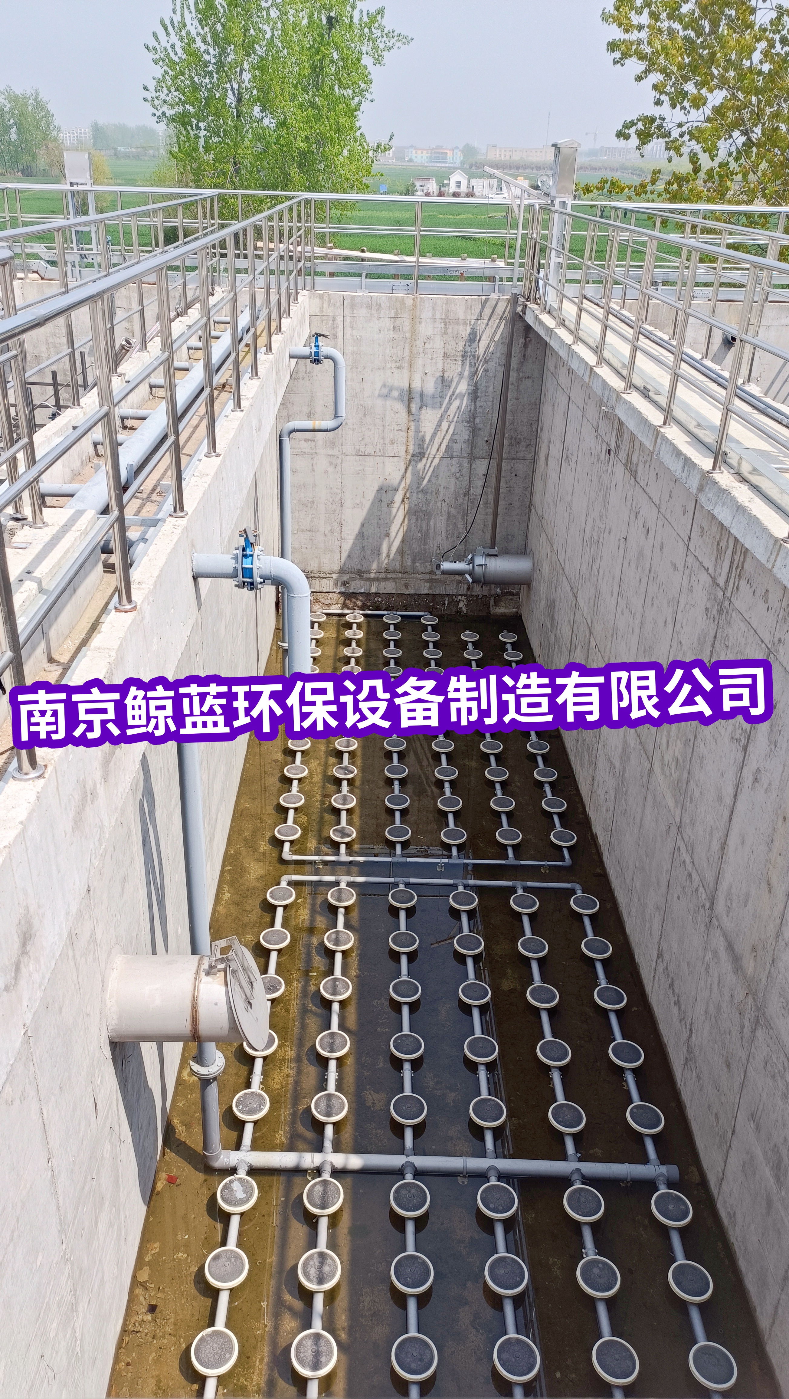 成功案例